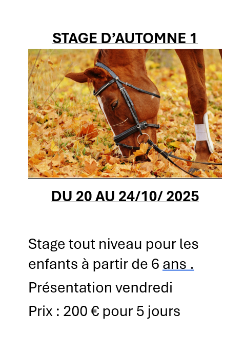 Capture decran 2025 09 09 141608 | Pony Paradise ASBL, Un centre unique d’hippothérapie et d’équitation à Bruxelles