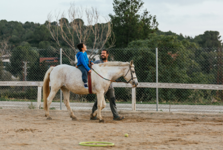 Capture decran 2026 05 05 142611 | Pony Paradise ASBL, Un centre unique d’hippothérapie et d’équitation à Bruxelles