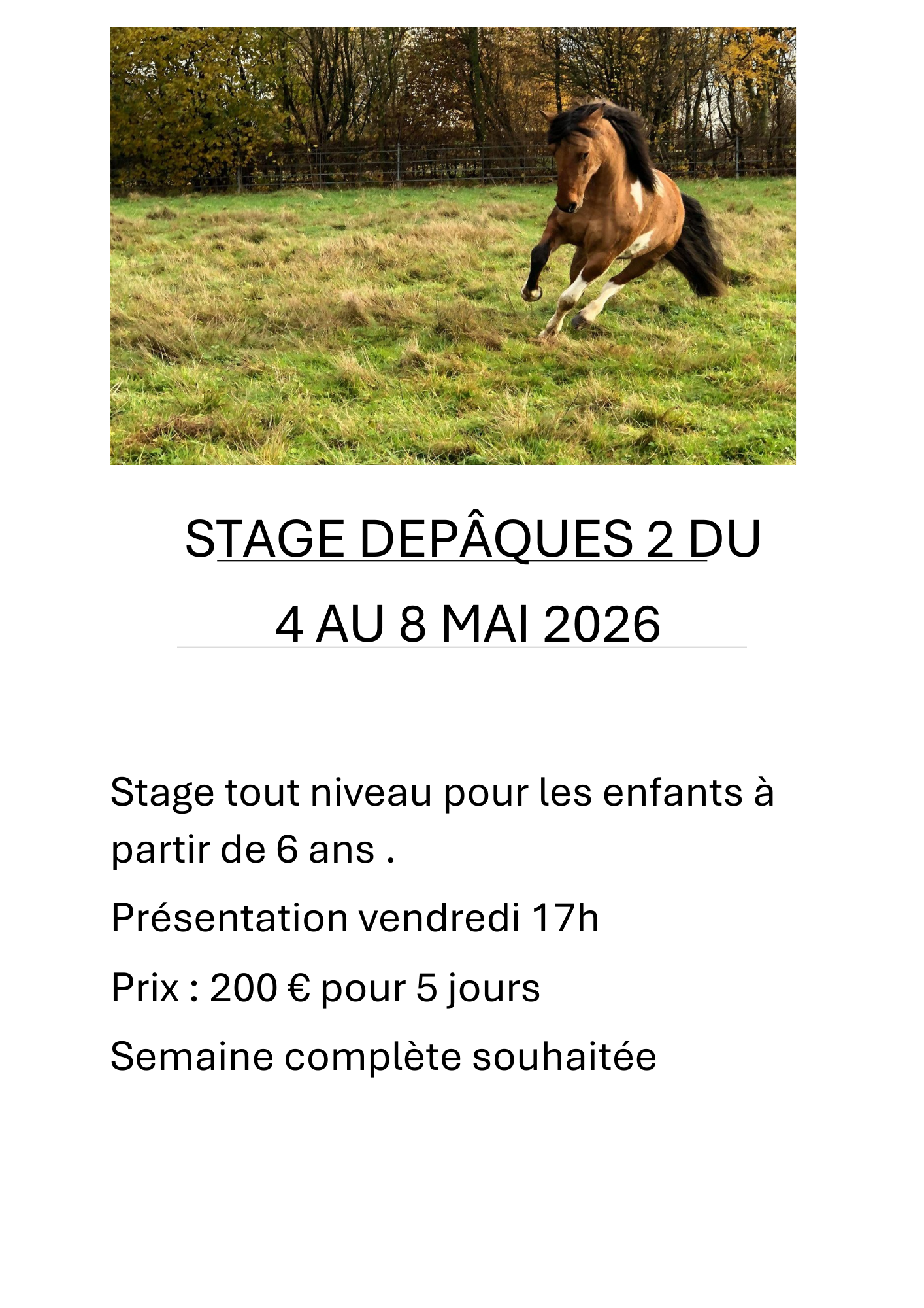 Stage1 | Pony Paradise ASBL, Un centre unique d’hippothérapie et d’équitation à Bruxelles