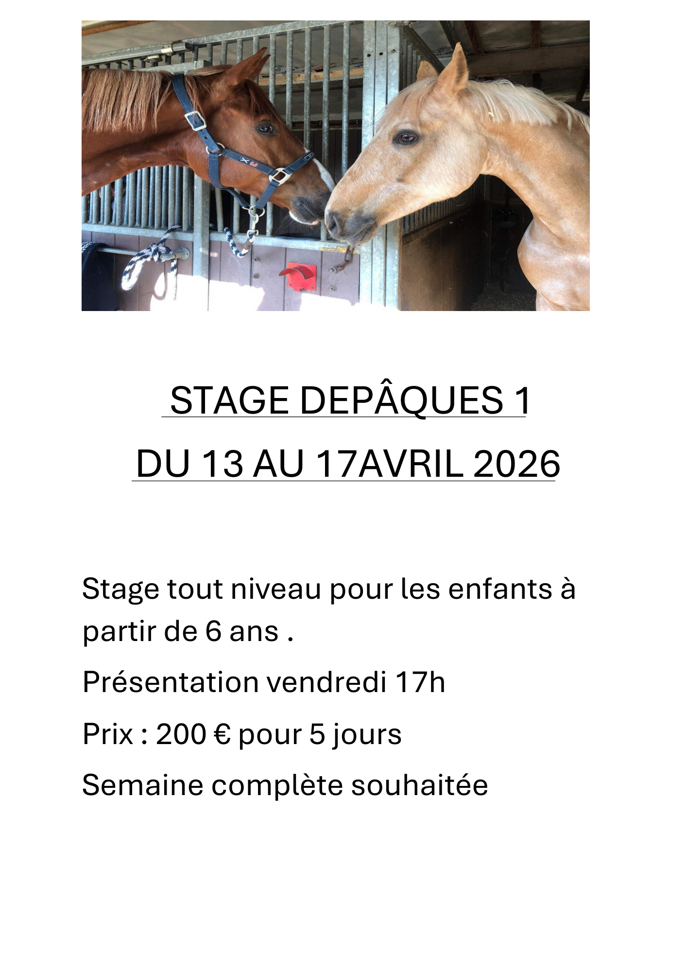 Stage2 | Pony Paradise ASBL, Un centre unique d’hippothérapie et d’équitation à Bruxelles